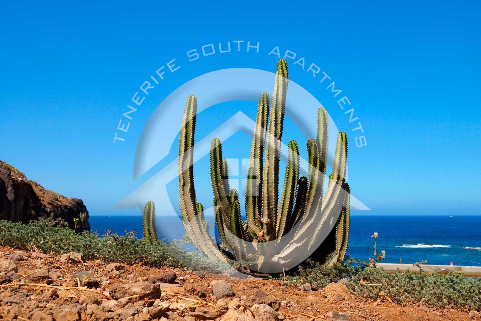 Las Vistas Beach Arona  Exterior foto
